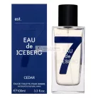 Iceberg Eau de Iceberg Cedar Eau de Toilette for Men 100 ml