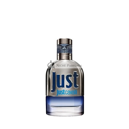 Roberto Cavalli Just Man New Eau de Toilette 1 fl oz