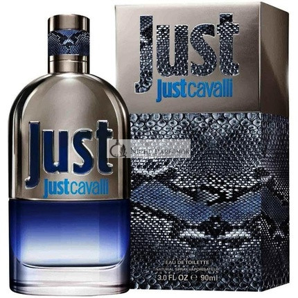 Roberto Cavalli Just Cavalli Him 2013 Eau de Toilette for Men 90 ml