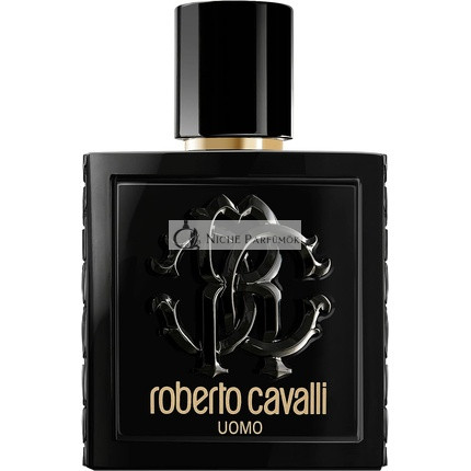 Roberto Cavalli Uomo Eau de Toilette for Men 100 ml