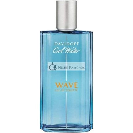 Davidoff Cool Water Wave Man Eau de Toilette for Men 125ml