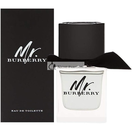Burberry Mr. Burberry Eau de Toilette for Men 100 ml