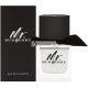 Burberry Mr. Burberry Eau de Toilette for Men 100 ml