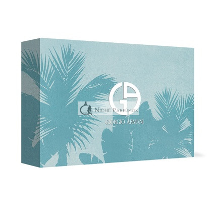 Giorgio Armani Acqua Di Gio Eau De Toilette 100ml