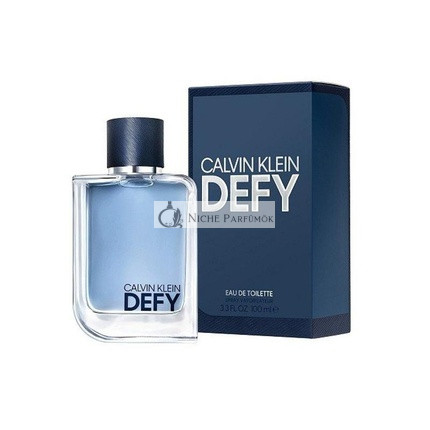 Calvin Klein Defy Eau de Toilette for Men 100 ml