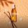 Blancreme Alcohol-Free Vanilla Tonka Perfume Mist 50ml
