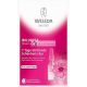 WELEDA Wildrose 7-Day Smoothing Ampoules 5ml