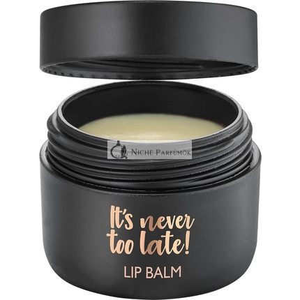 ALCINA It's never too late Lip Balm 7g Lip Care for Smooth and Supple Lips Protects from Drying Out With Valuable Oils Vitamin E and Bisabolol