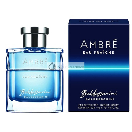 Baldessarini Ambré Eau Fraiche Eau de Toilette for Men 90 ml