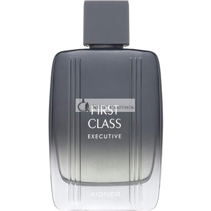 Aigner First Class Eau de Toilette for Men 50 ml