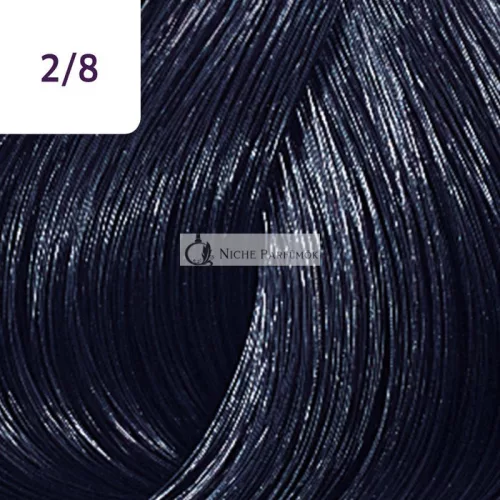 Wella Professionals Color Touch Rich Naturals Professional Demi-Permanent Hair Color with Multi-Dimensional Effect 2/8 60 ml