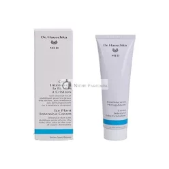 Dr. Hauschka Intensive Ice Plant Cream 50ml