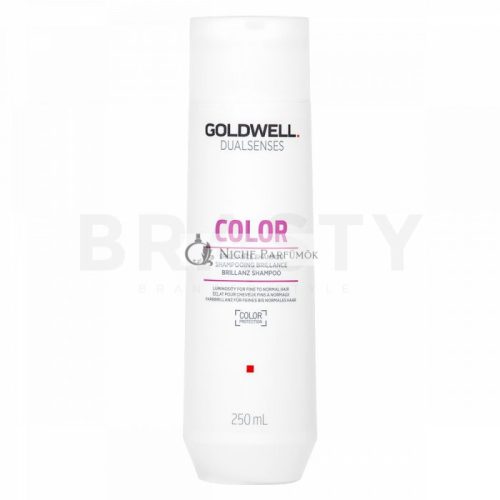 Goldwell Dualsenses Color Brilliance Shampoo for Colored Hair 250 ml