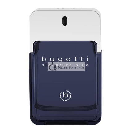 Bugatti Signature Blue Men's Perfume 100ml - Fresh Eau de Toilette for Any Occasion