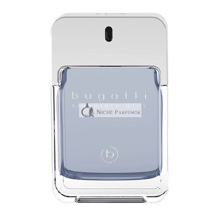 Bugatti Signature Grey Men's Perfume 100ml - Fresh Eau de Toilette with Spicy Scent for All Ages - Perfect for Any Occasion