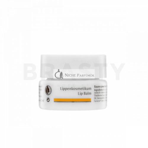 Dr. Hauschka Lip Balm Nourishing Lip Balm 4.5 ml