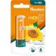 Himalaya Sun Protect Lip Balm with SPF 50 and UVA Ray Protection 4.5g