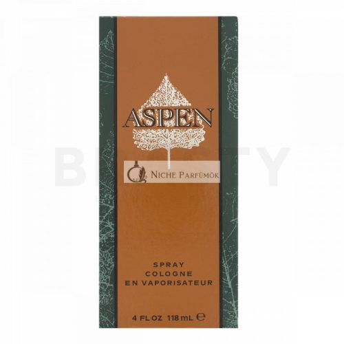 Coty Aspen Cologne for Men 118 ml