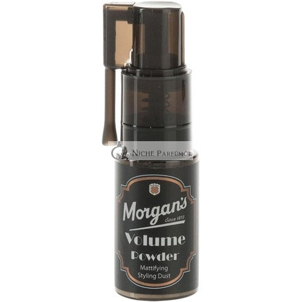 Morgan's Volume Powder 5g