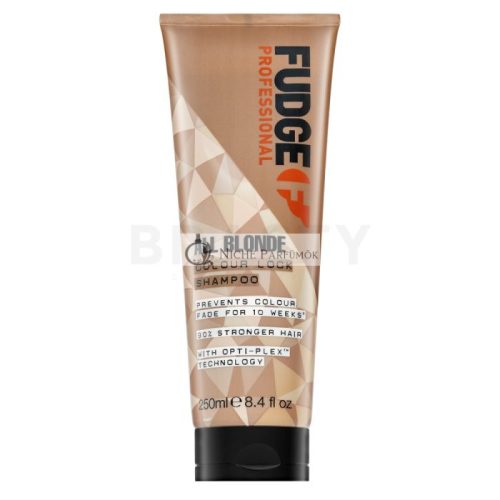 Fudge Professional All Blonde Colour Lock Shampoo Protective Shampoo for Coloured Hair 250 ml