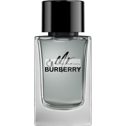 Burberry Eau de Toilette Spray for Men 150ml