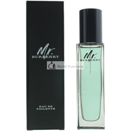 Burberry Mr. Burberry Eau De Toilette for Men 30ml