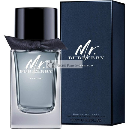 Burberry Mr. Indigo Eau De Toilette 100ml