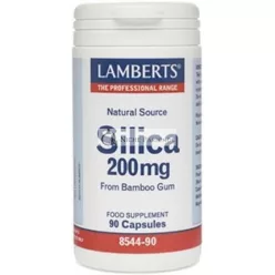 Lamberts Silica 200mg 90 Capsules