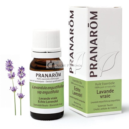 Pranarôm Genuine Lavender Essential Oil Blooming Top 10ml
