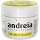 Andreia Professional Nail Art Design Gel Paint Pots 4g 11 Neon Yellow