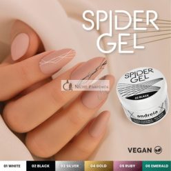   Andreia Professional Black Spider Gel Creation Nail Art Design