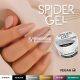 Andreia Professional Black Spider Gel Creation Nail Art Design