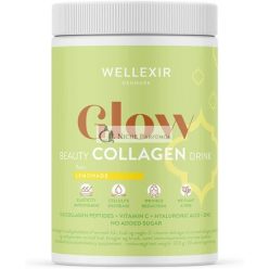 WELLEXIR Glow Beauty Drink Lemonade 360g - 60 Day Supply