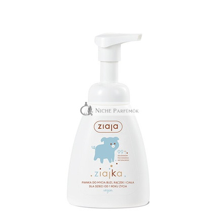 Cleansing Foam for Face, Hands, and Body (Wash Foam) 250 ml