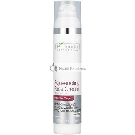 BIELENDA Correction Cream and Anti-Imperfections 100ml