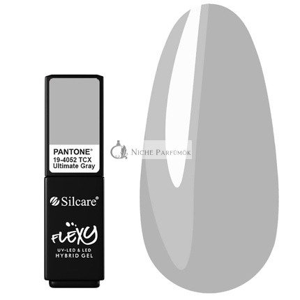 Silcare FLEXY 21/2 Trendy Colors Of The Year 4.5g