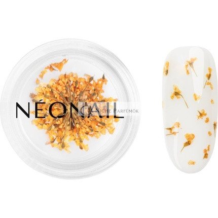 NEONAIL Dried Flowers for Nails - Orange, 1 piece