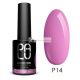 Soak Off Hybrid Nail Polish Warsaw P14 11g PALU