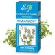 Etja Thyme Essential Oil Strong Antiseptic Properties 10ml