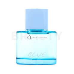 Kenneth Cole Blue Eau de Toilette for Men 100 ml