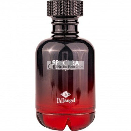 Tad Angel Spectra Homme Eau De Parfum 100ml