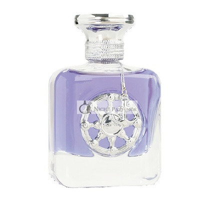 Voyager Silver Eau de Parfum Volume 100 ml