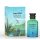 Amazon Rainfall 100ml Volare Eau De Parfum for Men