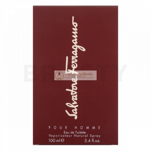 Salvatore Ferragamo Pour Homme Eau de Toilette for Men 100 ml