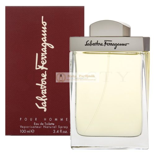 Salvatore Ferragamo Pour Homme Eau de Toilette for Men 100 ml