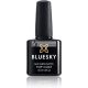 Bluesky Gel Polish Matte No Wipe Top Coat Large Bottle Soak-off UV LED Nail Polish Matte Finish Long Lasting Clear 15ml