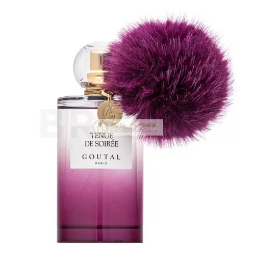 Annick Goutal Tenue De Soirée Eau de Parfum for Women 100 ml
