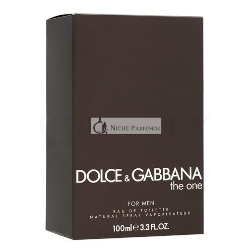 Dolce & Gabbana The One for Men Eau de Toilette for Men 100 ml