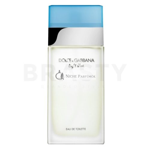 Dolce & Gabbana Light Blue Eau de Toilette for Women 100 ml