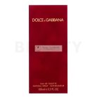 Dolce & Gabbana Femme Eau de Toilette for Women 100 ml